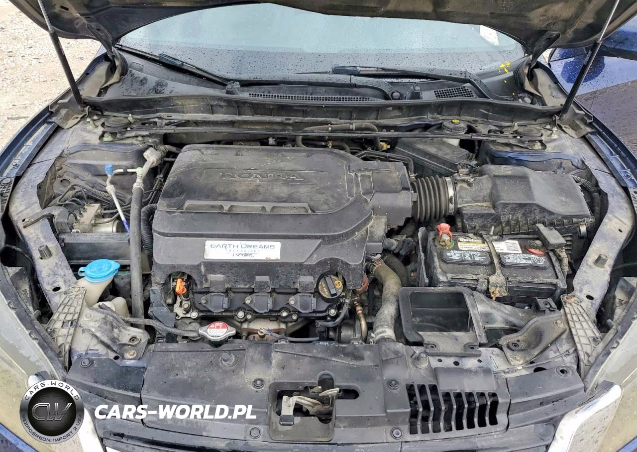 2014 Honda Accord Exl VIN:1HGCR3F82EA005995 - 11