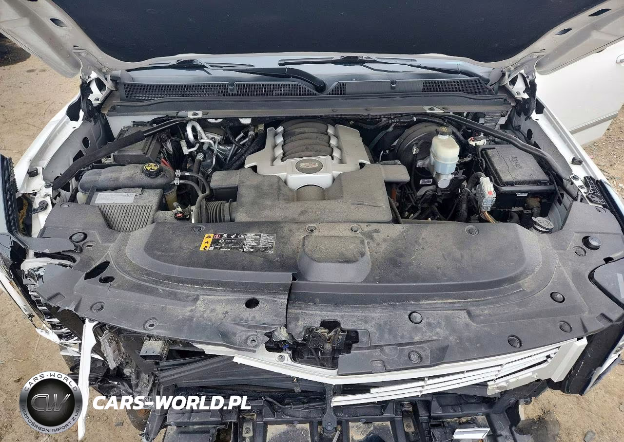2019 Cadillac Escalade Esv Premium Luxury VIN:1GYS4JKJ0KR228470 - 12
