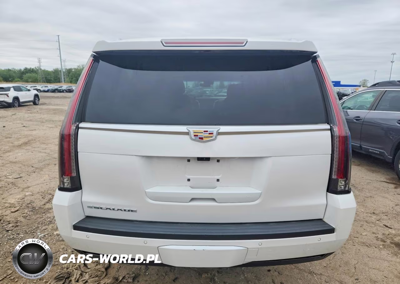 2019 Cadillac Escalade Esv Premium Luxury VIN:1GYS4JKJ0KR228470 - 6