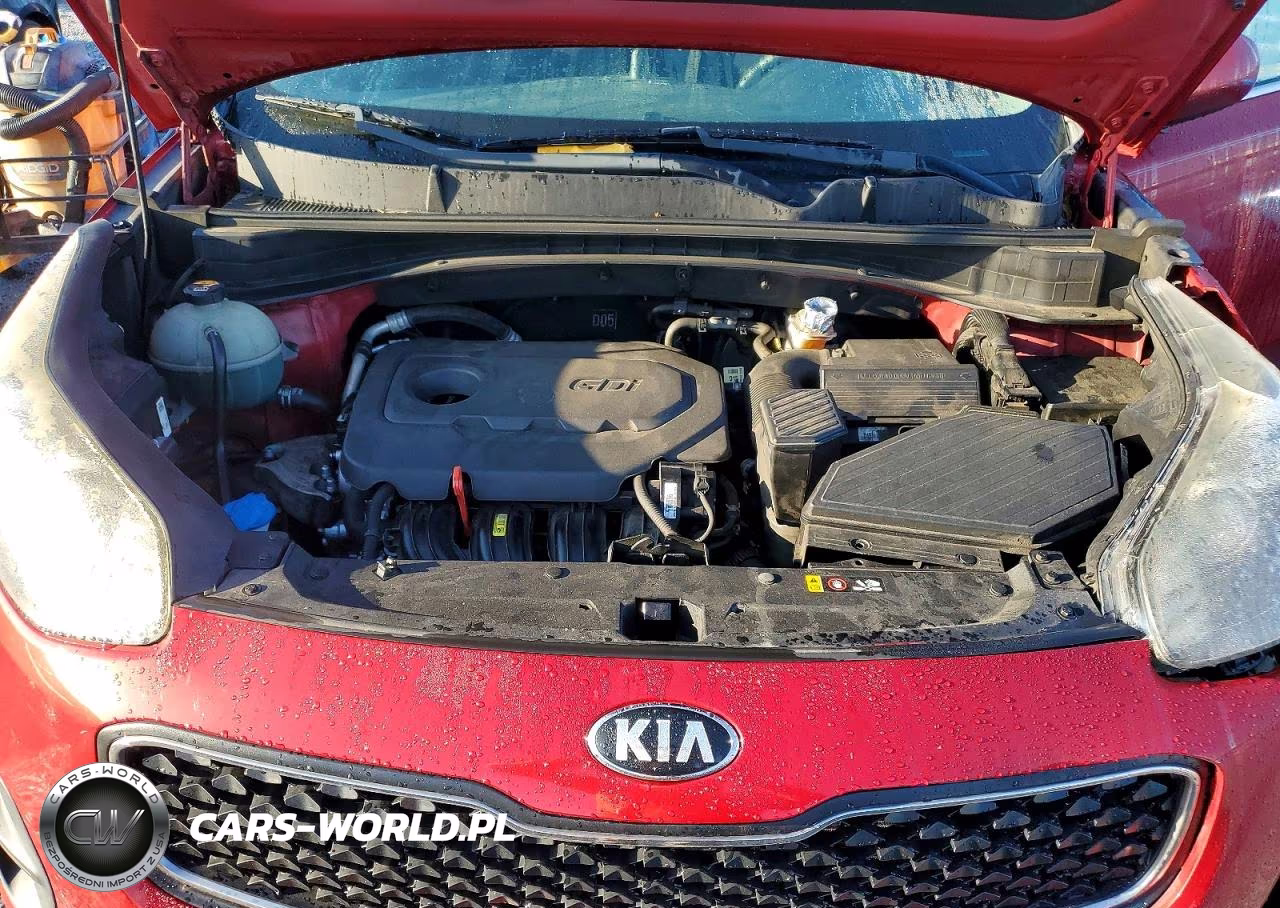 2017 Kia Sportage Lx VIN:KNDPM3ACXH7294491 - 12