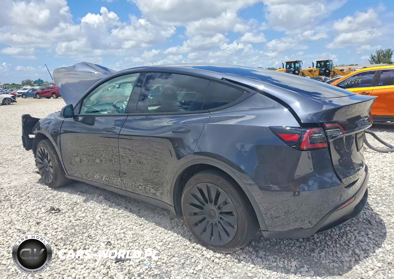 2024 Tesla Model Y VIN:7SAYGDED1RF034256 - 2