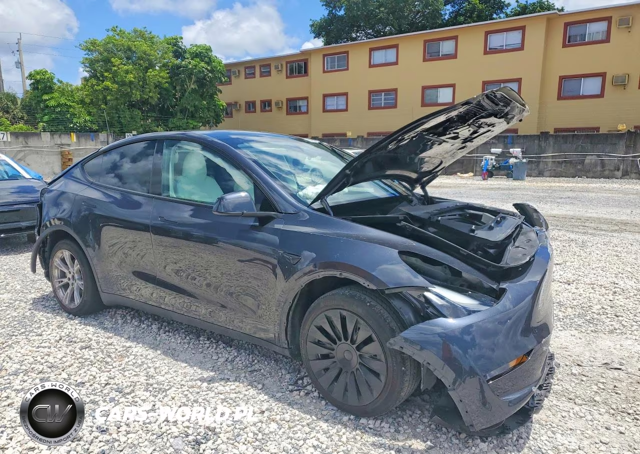 2024 Tesla Model Y VIN:7SAYGDED1RF034256 - 4