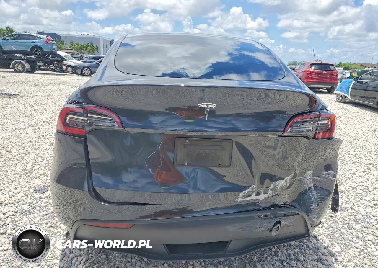 2024 Tesla Model Y VIN:7SAYGDED1RF034256 - 6