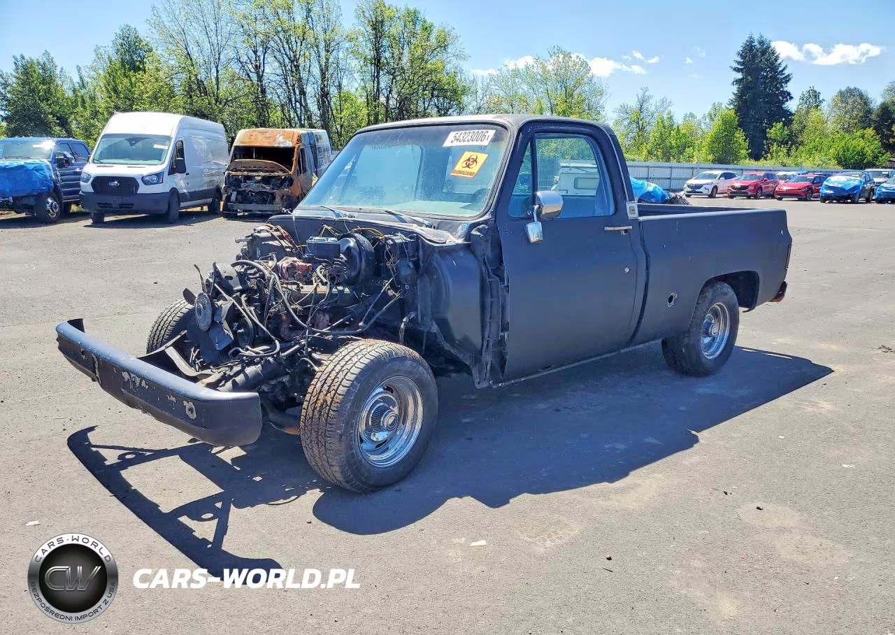 1977 Chevrolet Truck – zdjęcie 1 z 12