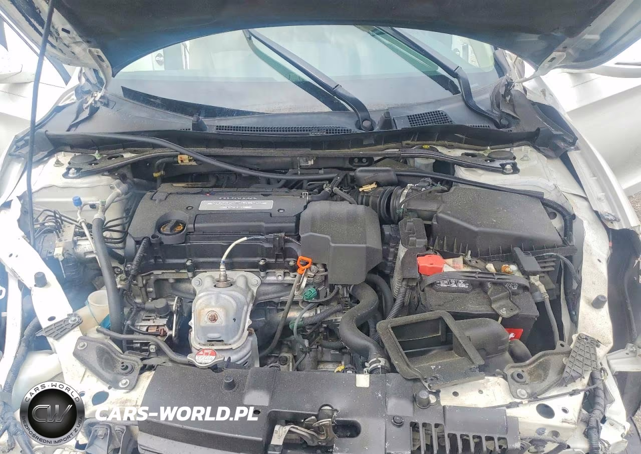 2013 Honda Accord Ex VIN:1HGCR2F79DA203831 - 11
