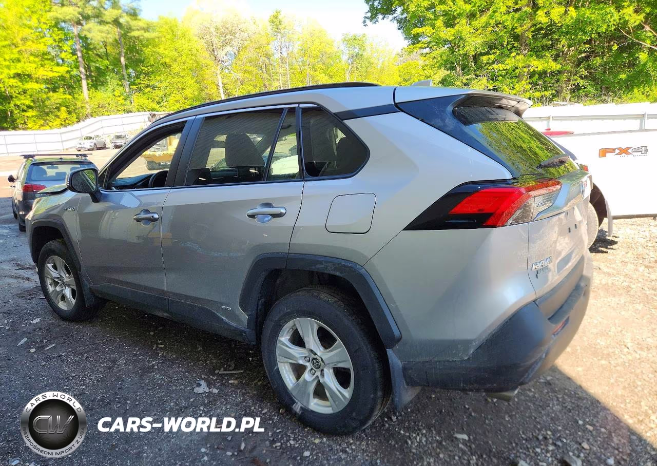 2021 Toyota Rav4 Le VIN:4T3MWRFV1MU049006 - 2