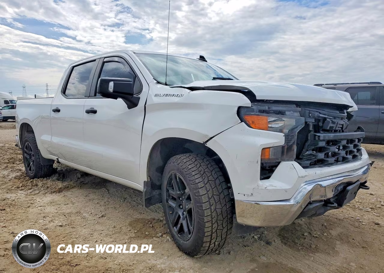 2024 Chevrolet Silverado C1500 VIN:1GCPAAEK0RZ171366 - 4