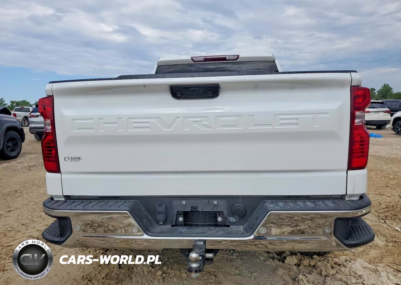 2024 Chevrolet Silverado C1500 VIN:1GCPAAEK0RZ171366 - 6