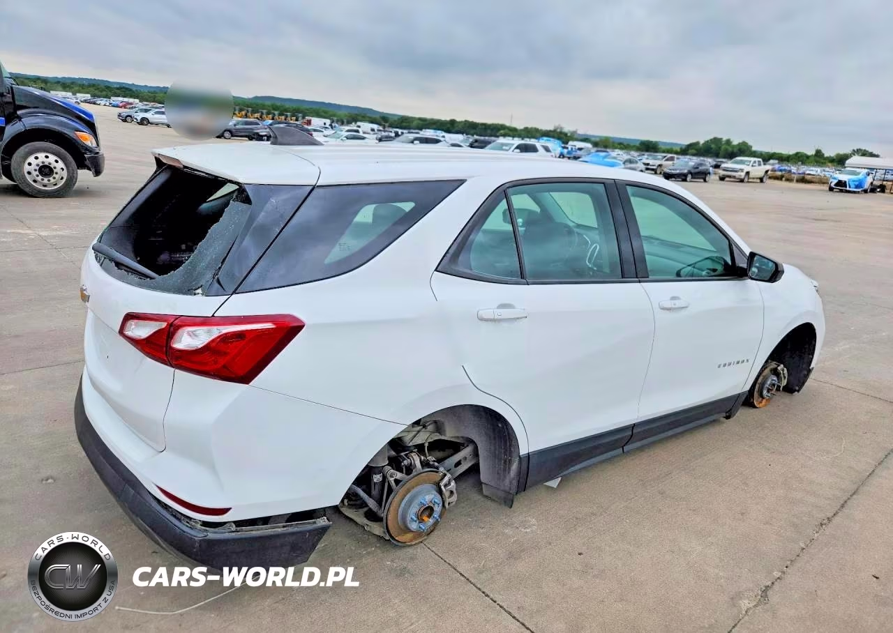 2019 Chevrolet Equinox Ls VIN:2GNAXHEV2K6134982 - 3