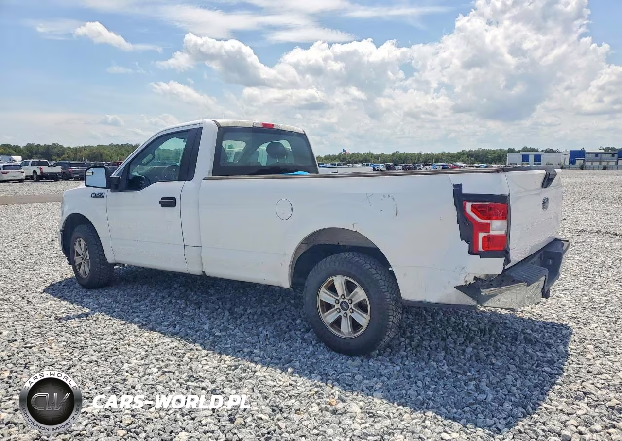 2019 Ford F-150 VIN:1FTMF1C5XKKD08300 - 2