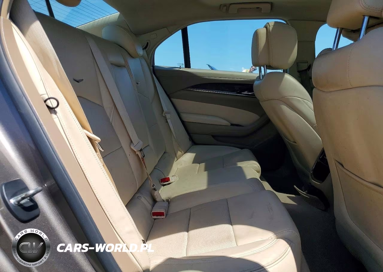 2014 Cadillac Cts Luxury Collection VIN:1G6AX5SX2E0166716 - 10
