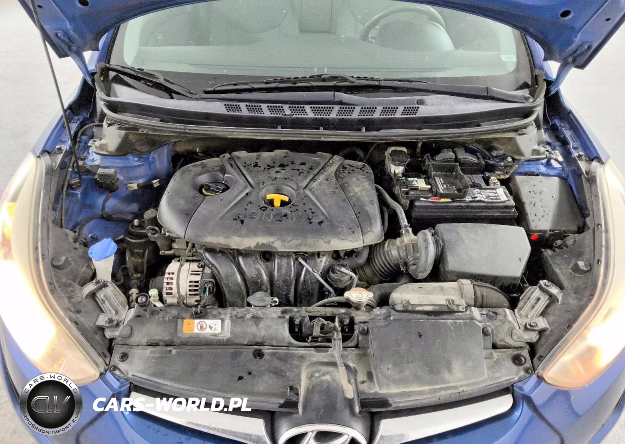 2015 Hyundai Elantra Se VIN:5NPDH4AE3FH636516 - 11