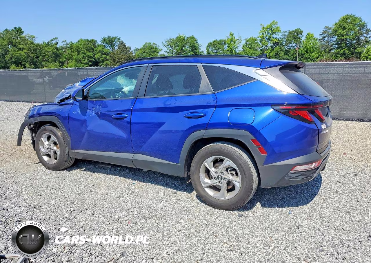 2024 Hyundai Tucson Sel VIN:5NMJB3DE2RH329446 - 2