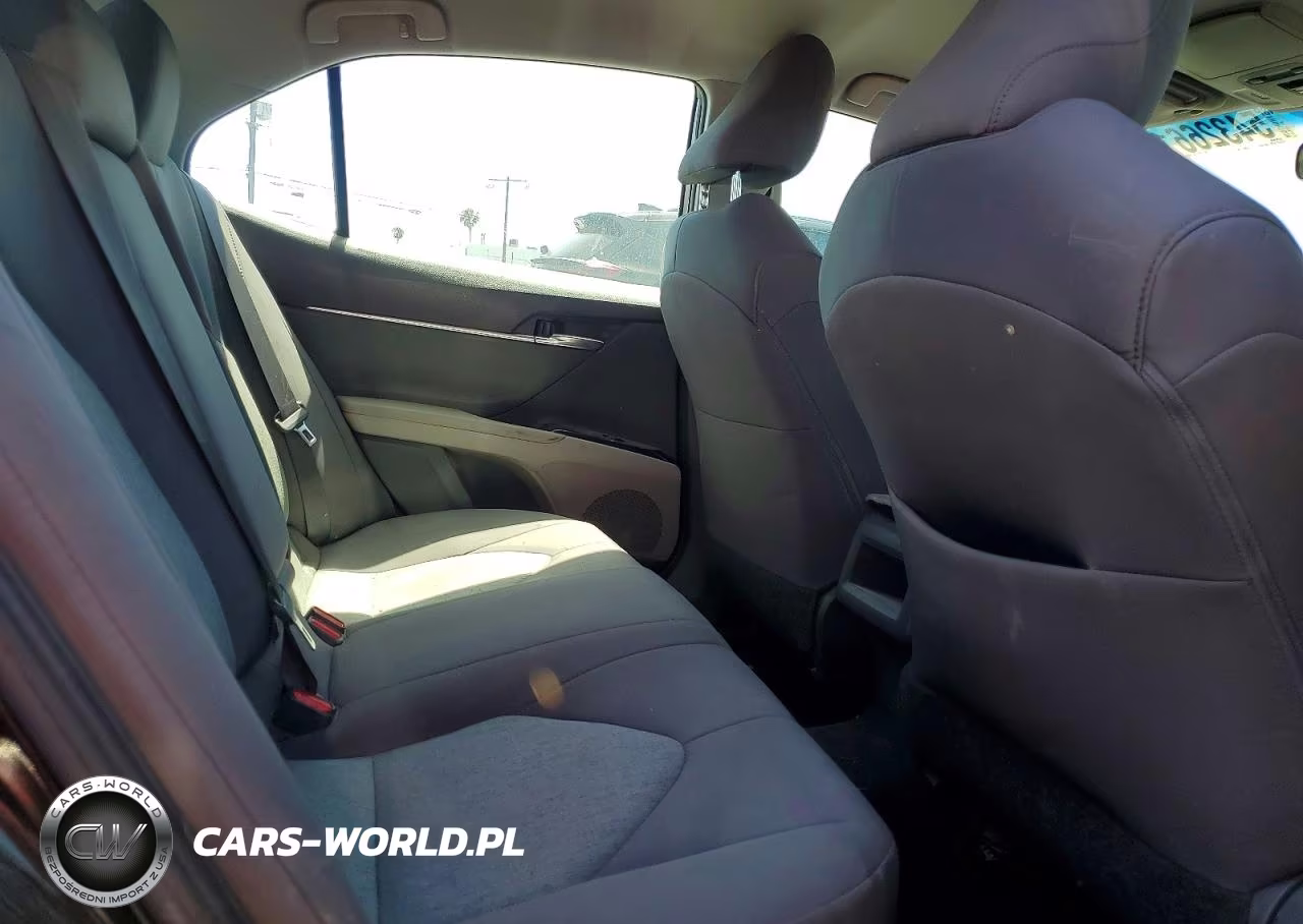 2020 Toyota Camry Le VIN:4T1C11AK6LU342044 - 10