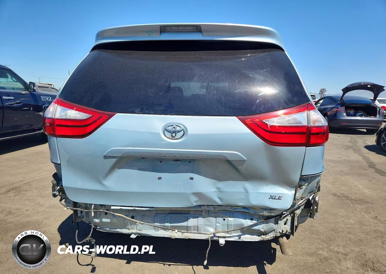 2017 Toyota Sienna Xle 8-Passenger VIN:5TDYZ3DC7HS807820 - 6