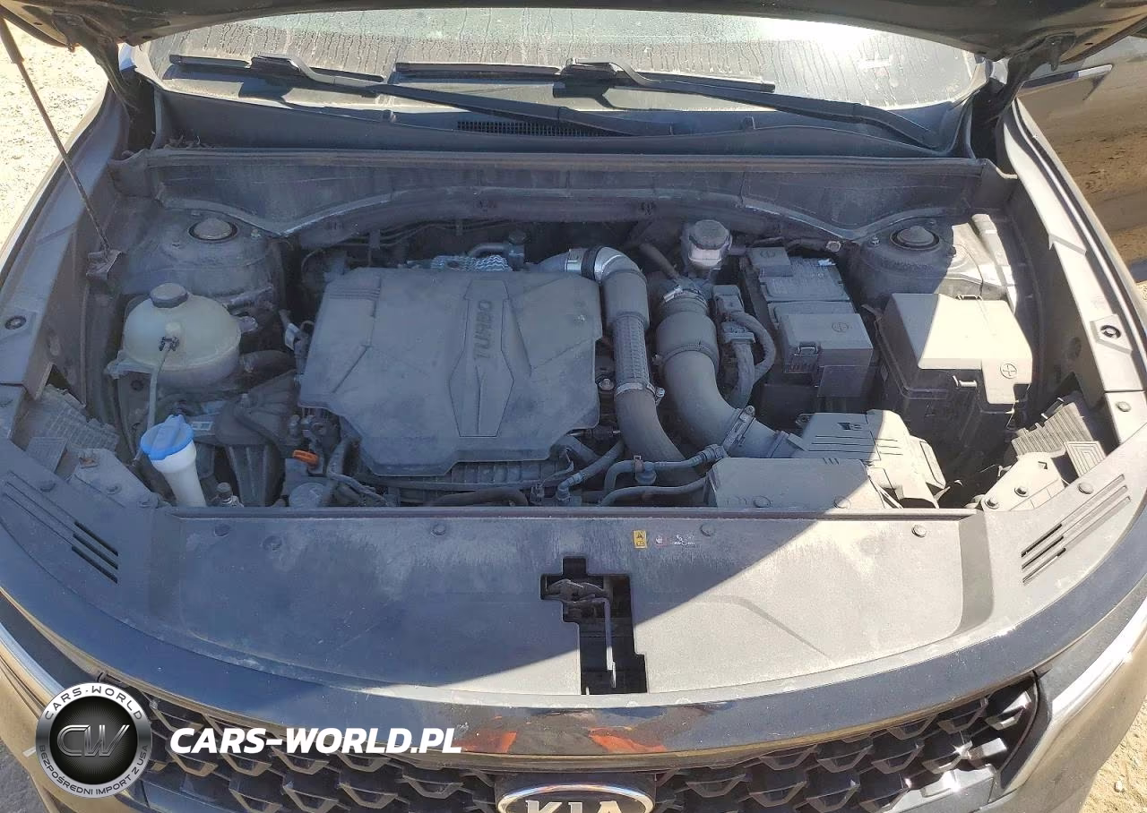 2021 Kia Sorento Sx VIN:5XYRK4LF3MG061870 - 12