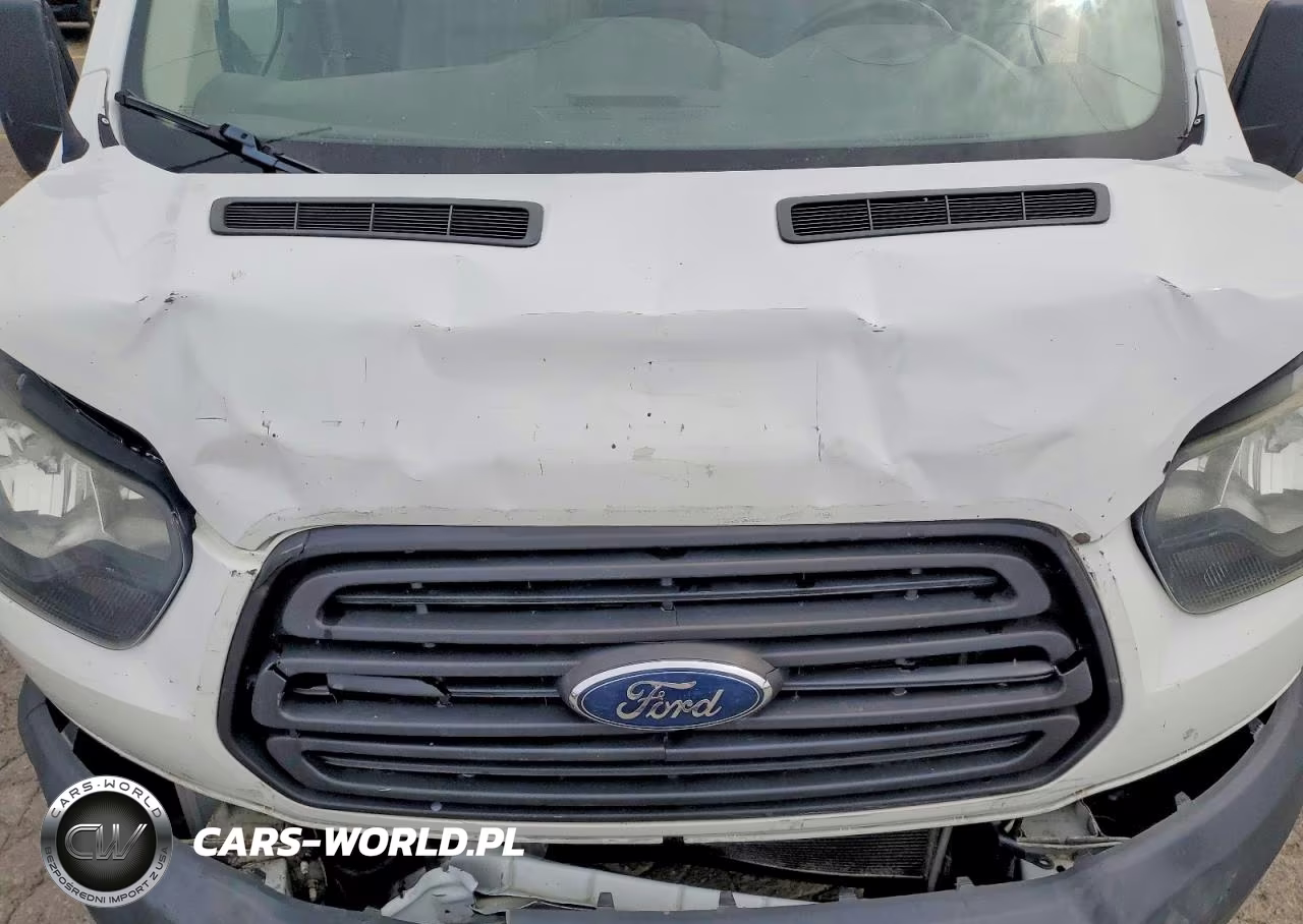 2016 Ford Transit T-150 VIN:1FTYE1ZM8GKA16459 - 12