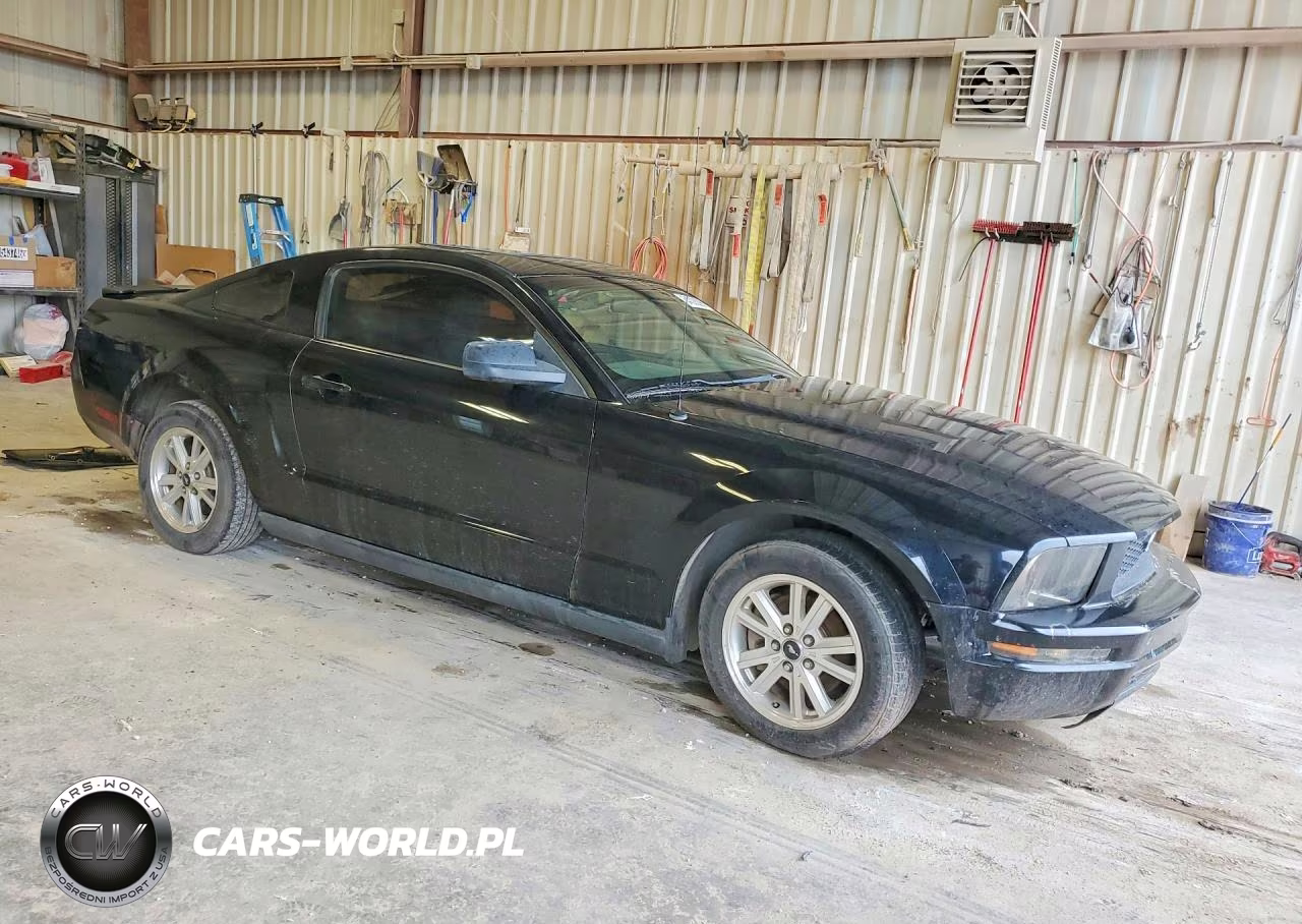 2008 Ford Mustang VIN:1ZVHT80N885132505 - 4
