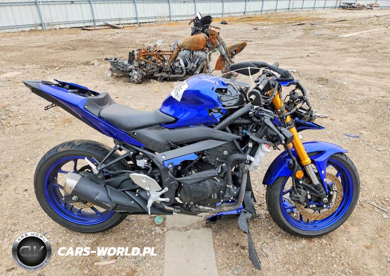 2019 Yamaha Yzfr3