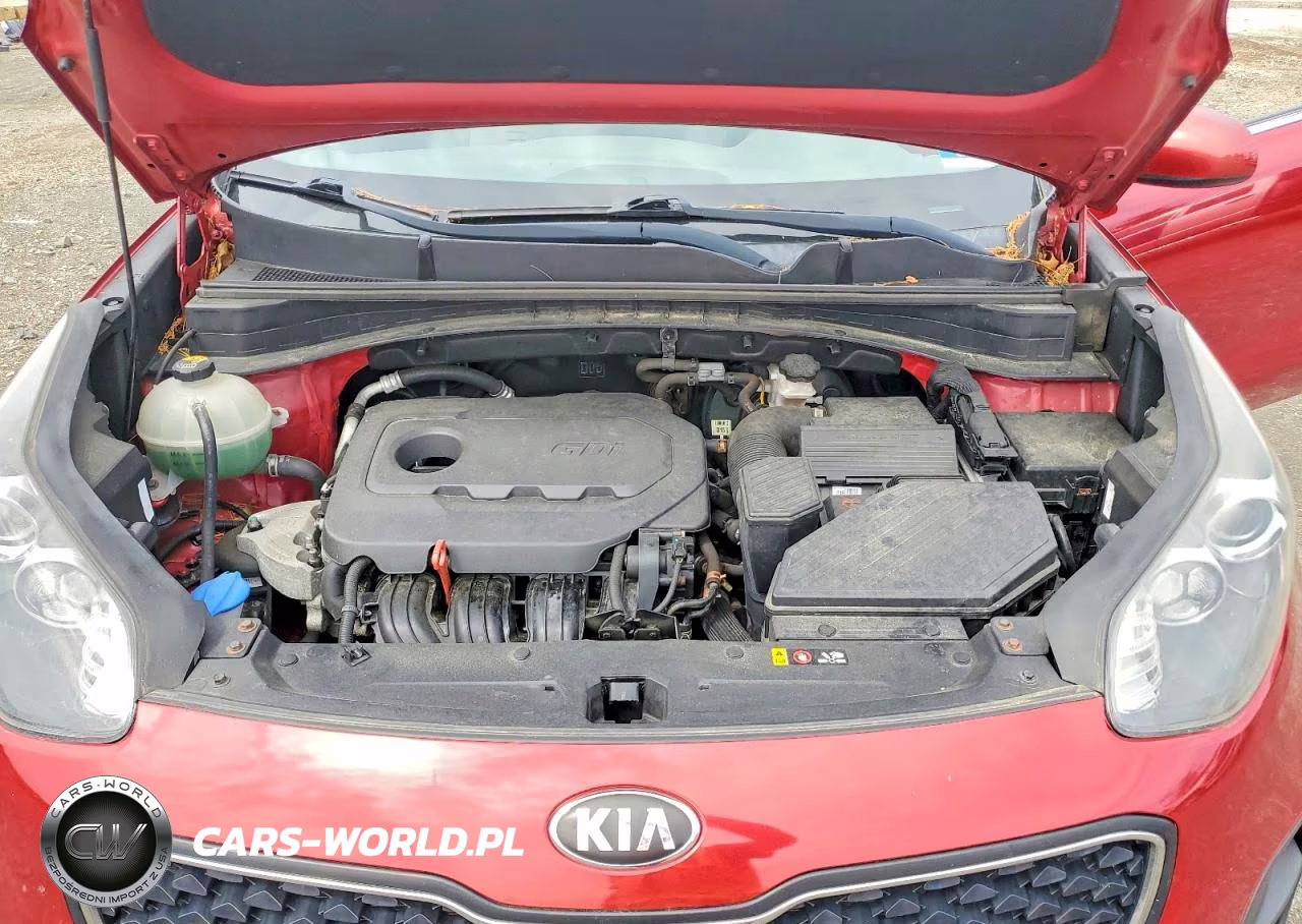 2019 Kia Sportage Lx VIN:KNDPM3AC2K7552123 - 12