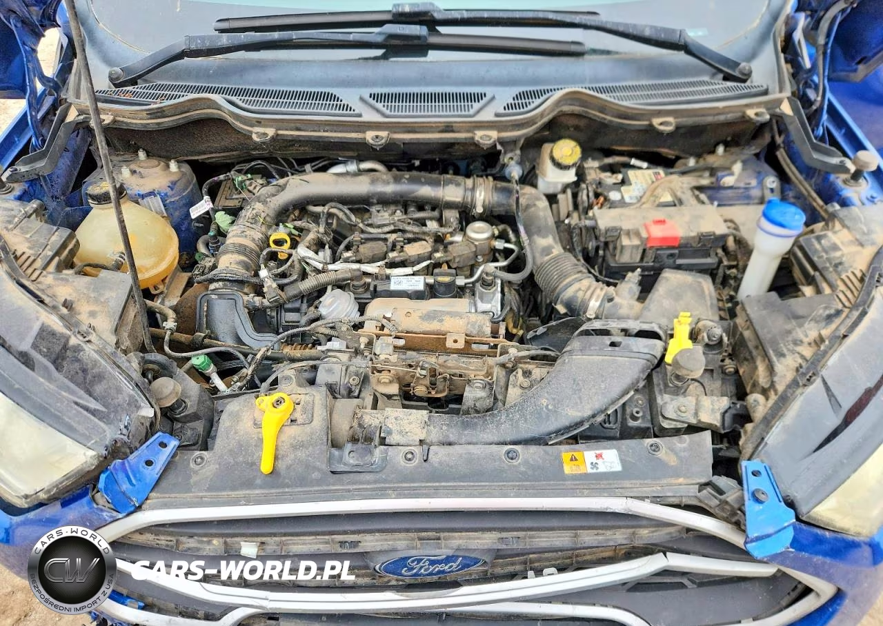 2019 Ford Ecosport Se VIN:MAJ3S2GE4KC269145 - 11