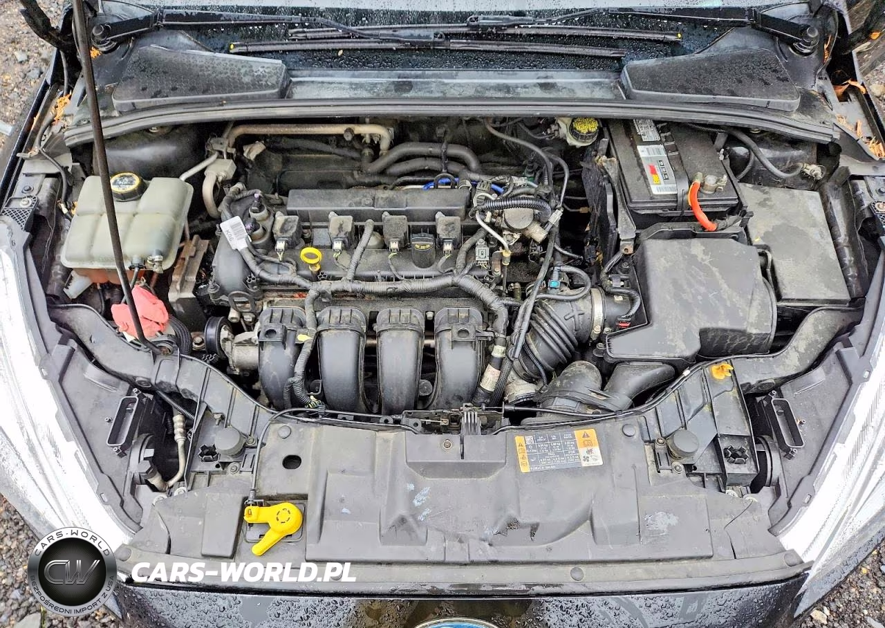 2016 Ford Focus VIN:1FADP3F20GL402865 - 11