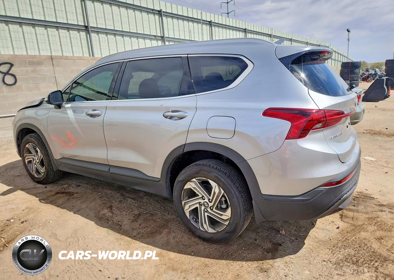 2023 Hyundai Santa Fe Sel VIN:5NMS2DAJ6PH504712 - 2