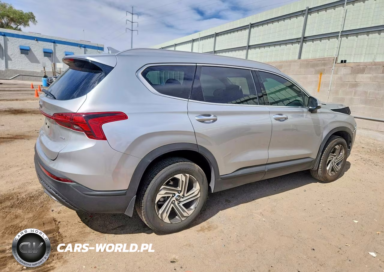 2023 Hyundai Santa Fe Sel VIN:5NMS2DAJ6PH504712 - 3