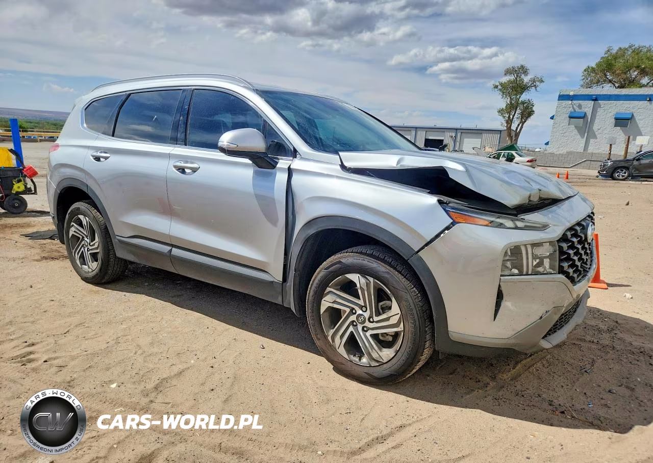 2023 Hyundai Santa Fe Sel VIN:5NMS2DAJ6PH504712 - 4