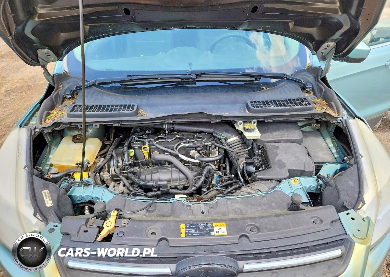 2013 Ford Escape Se VIN:1FMCU0GX2DUB27184 - 12