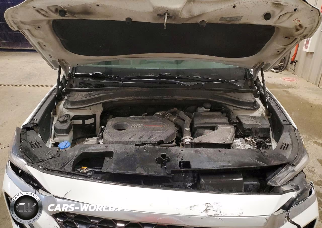 2019 Hyundai Santa Fe Limited 2.0T VIN:5NMS5CAA5KH071345 - 12