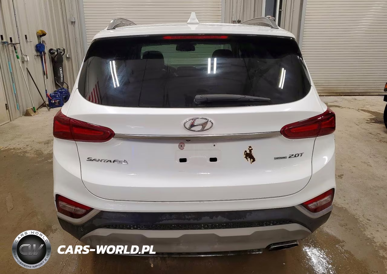 2019 Hyundai Santa Fe Limited 2.0T VIN:5NMS5CAA5KH071345 - 6