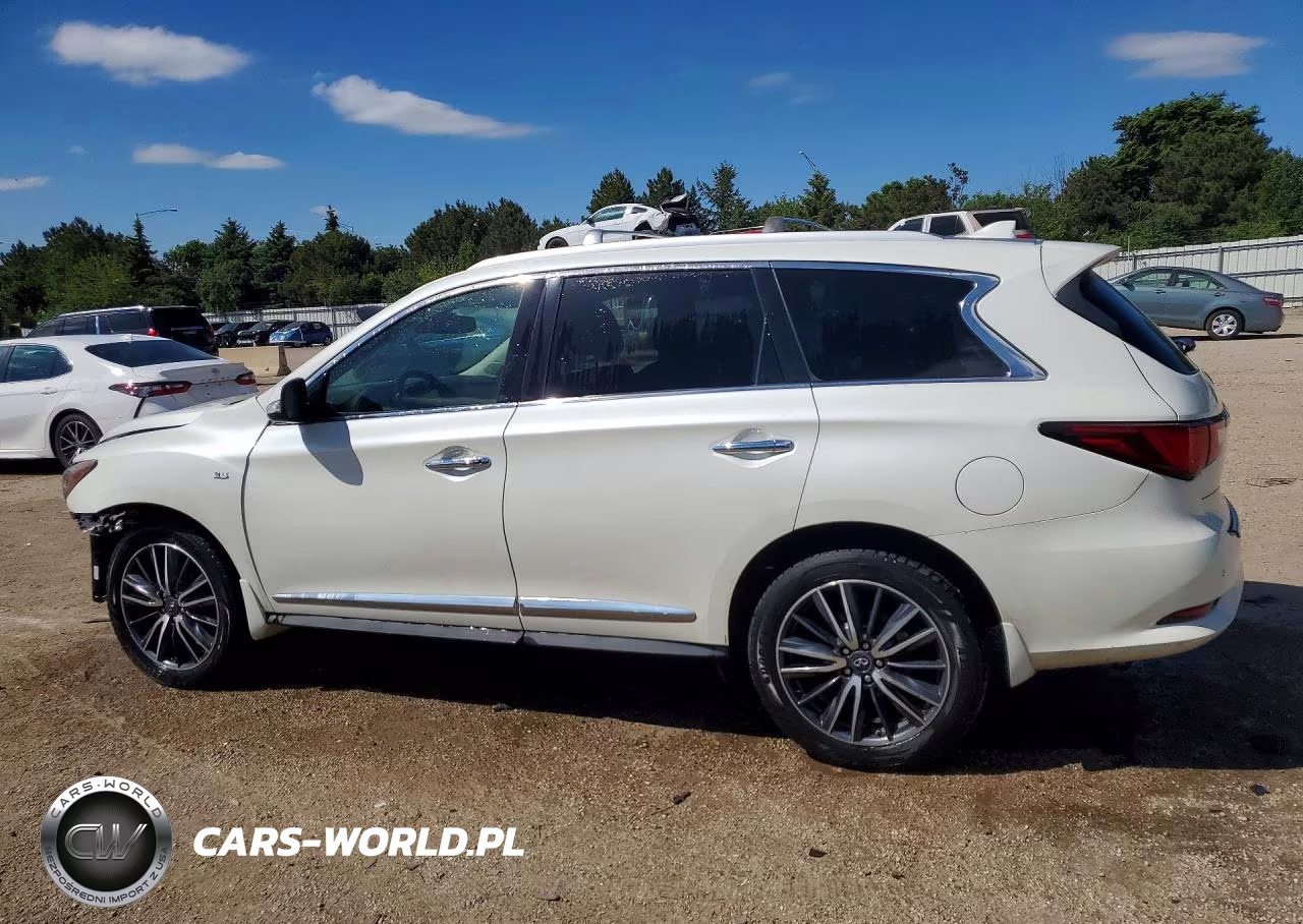 2019 Infiniti Qx60 Luxe VIN:5N1DL0MM6KC513515 - 2
