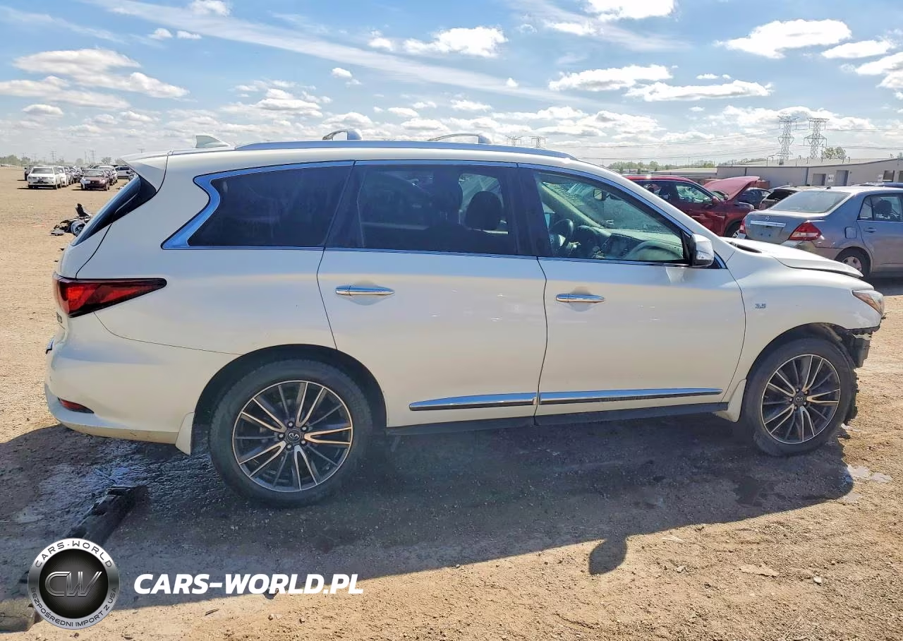 2019 Infiniti Qx60 Luxe VIN:5N1DL0MM6KC513515 - 3