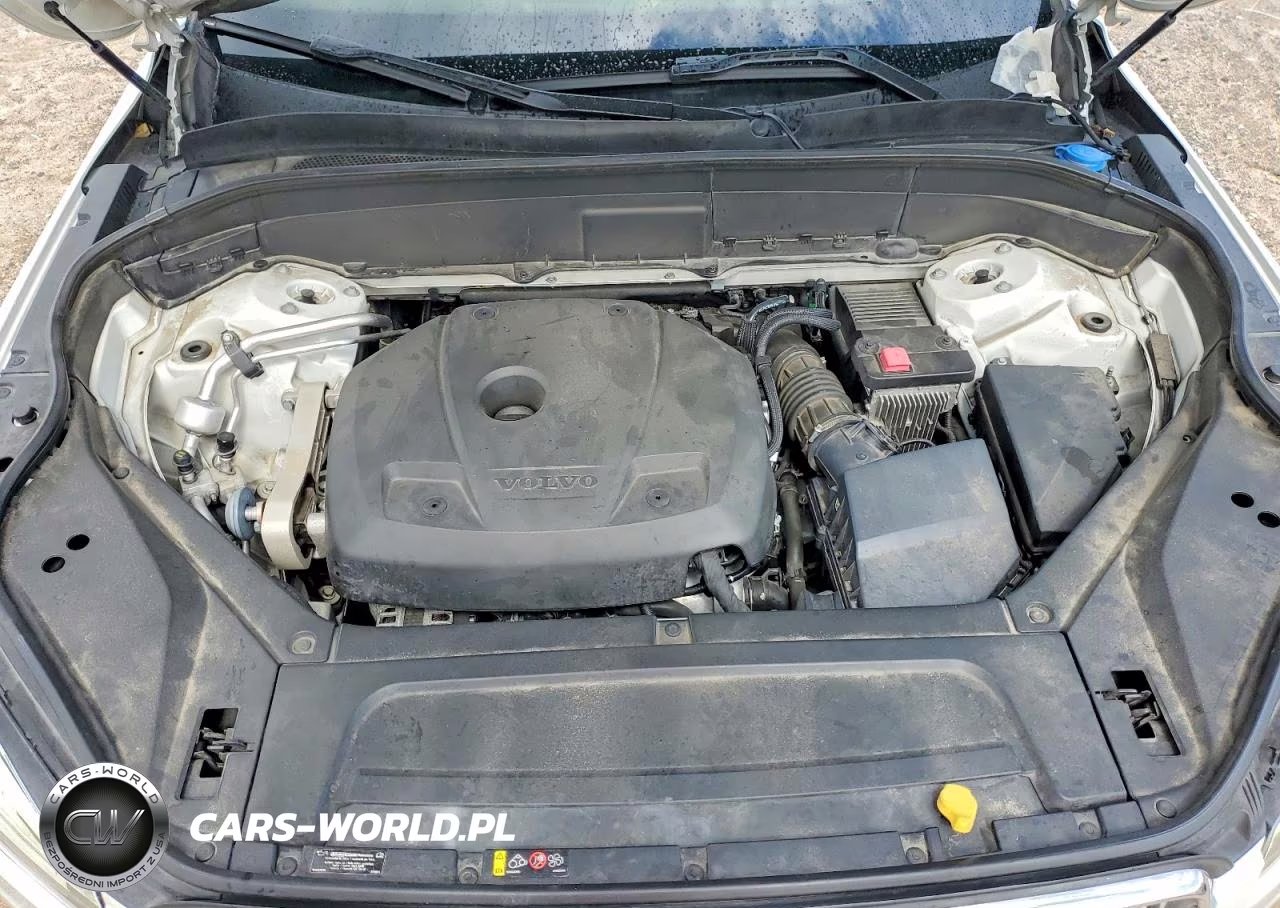 2019 Volvo Xc90 T6 Inscription VIN:YV4A22PL9K1445874 - 12