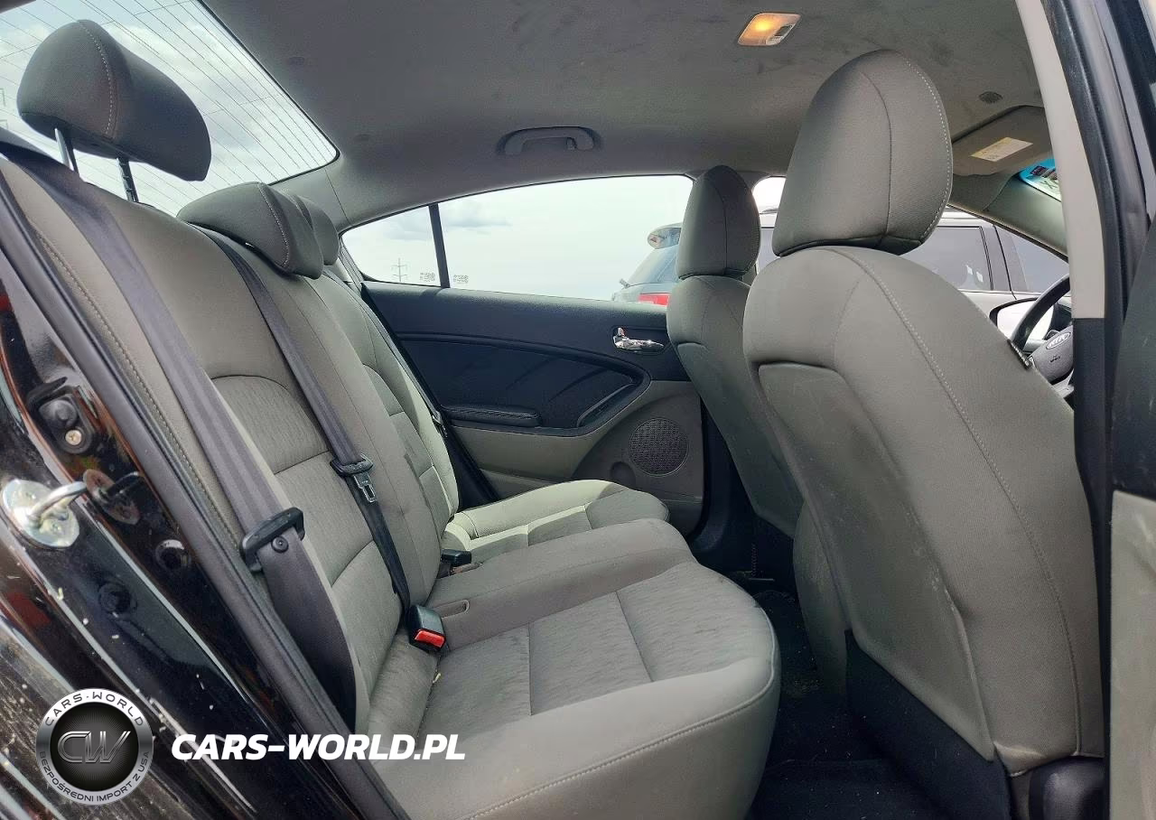 2015 Kia Forte Lx VIN:KNAFK4A63F5394696 - 10