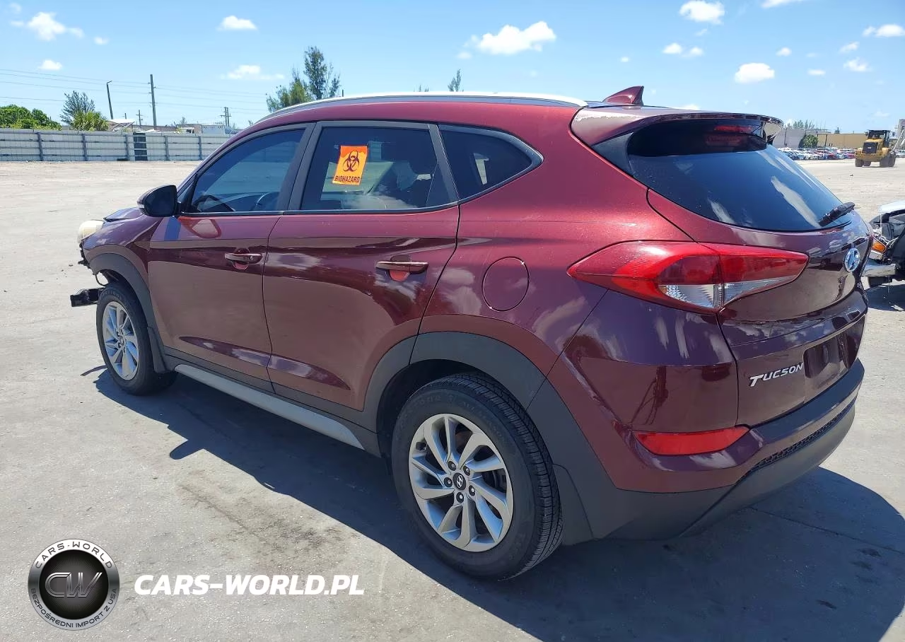 2018 Hyundai Tucson Sel Plus VIN:KM8J33A43JU604260 - 2