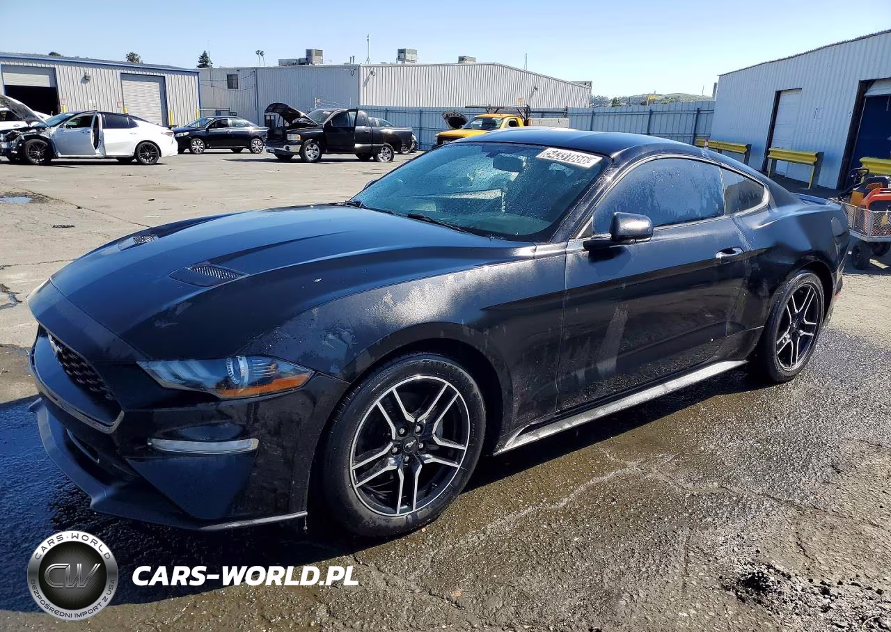 2019 Ford Mustang