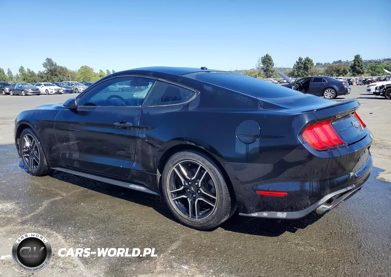 2019 Ford Mustang VIN:1FA6P8TH0K5169338 - 2