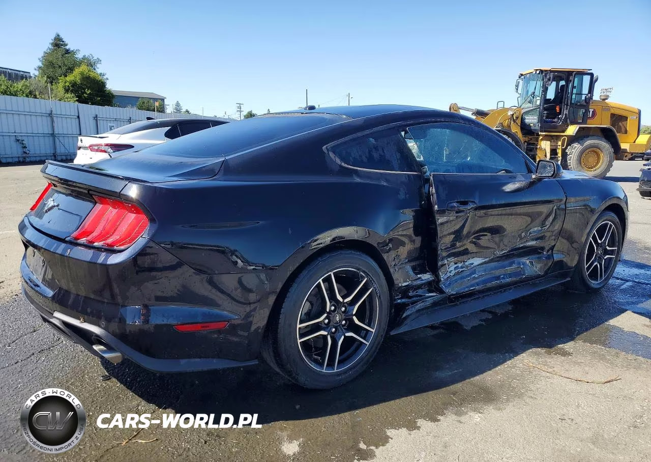 2019 Ford Mustang VIN:1FA6P8TH0K5169338 - 3