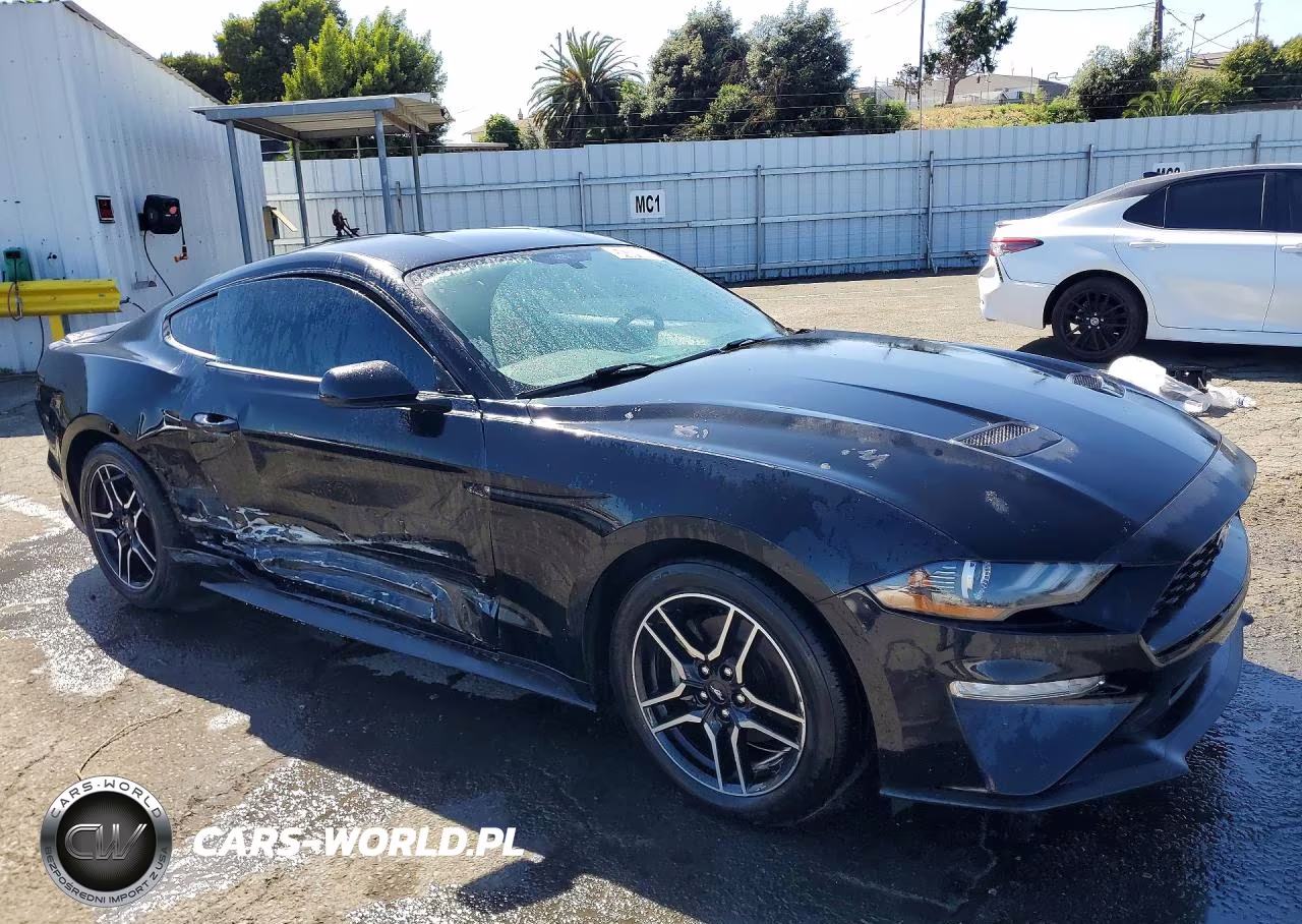 2019 Ford Mustang VIN:1FA6P8TH0K5169338 - 4