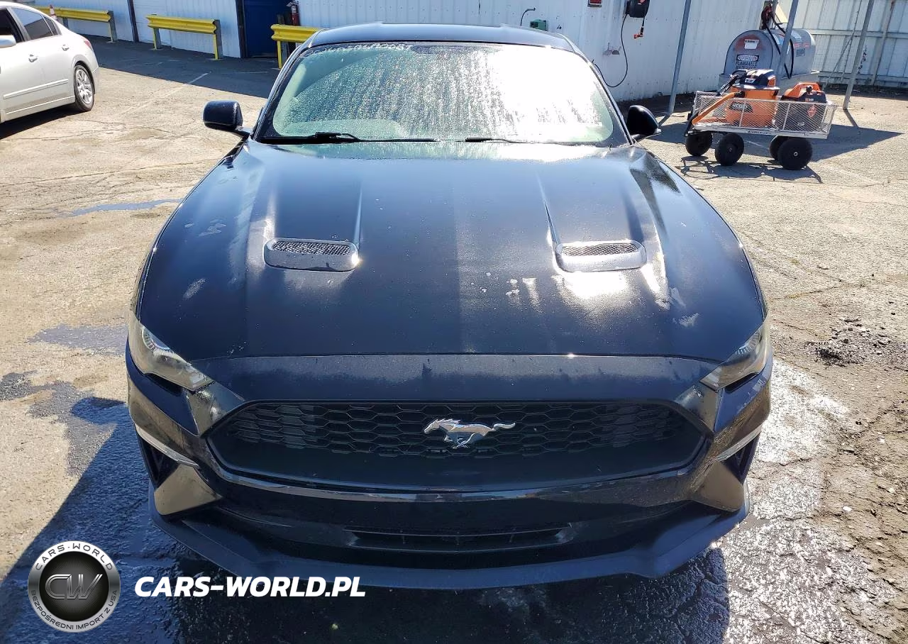 2019 Ford Mustang VIN:1FA6P8TH0K5169338 - 5
