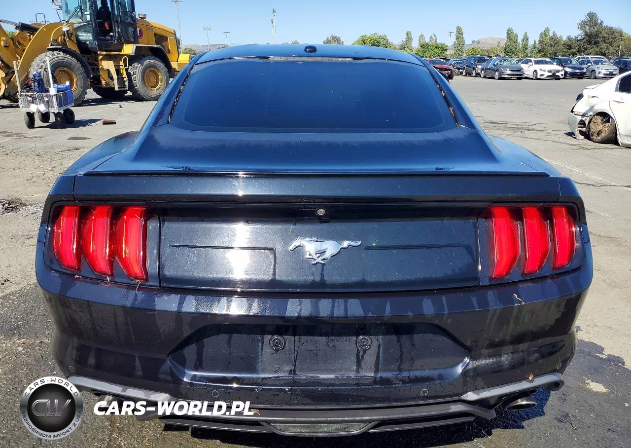 2019 Ford Mustang VIN:1FA6P8TH0K5169338 - 6