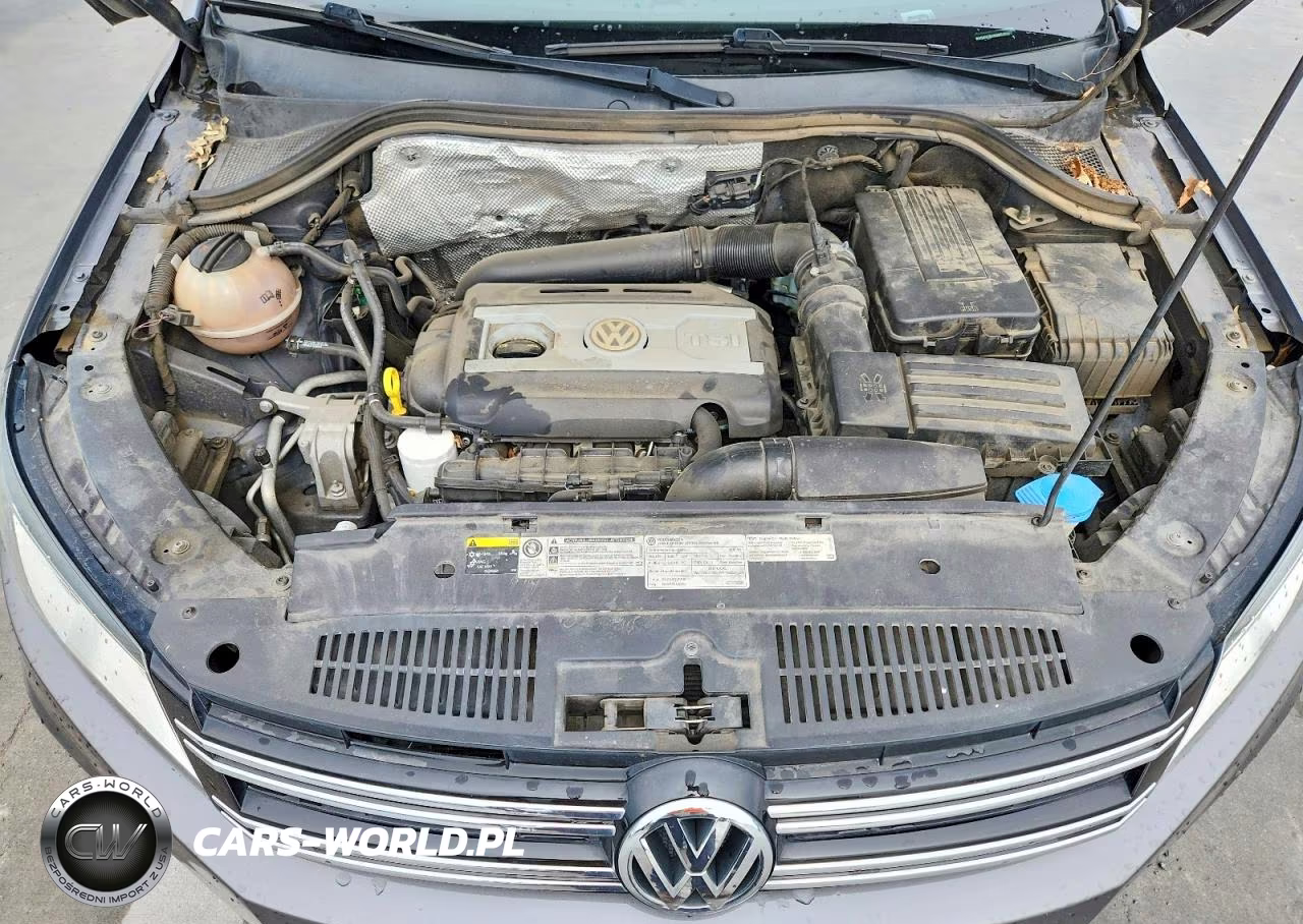 2016 Volkswagen Tiguan S VIN:WVGAV7AX5GW510308 - 11