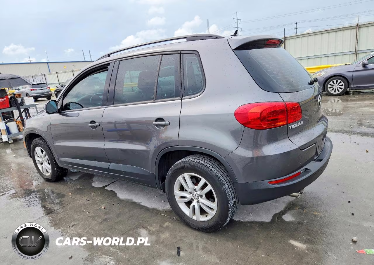 2016 Volkswagen Tiguan S VIN:WVGAV7AX5GW510308 - 2