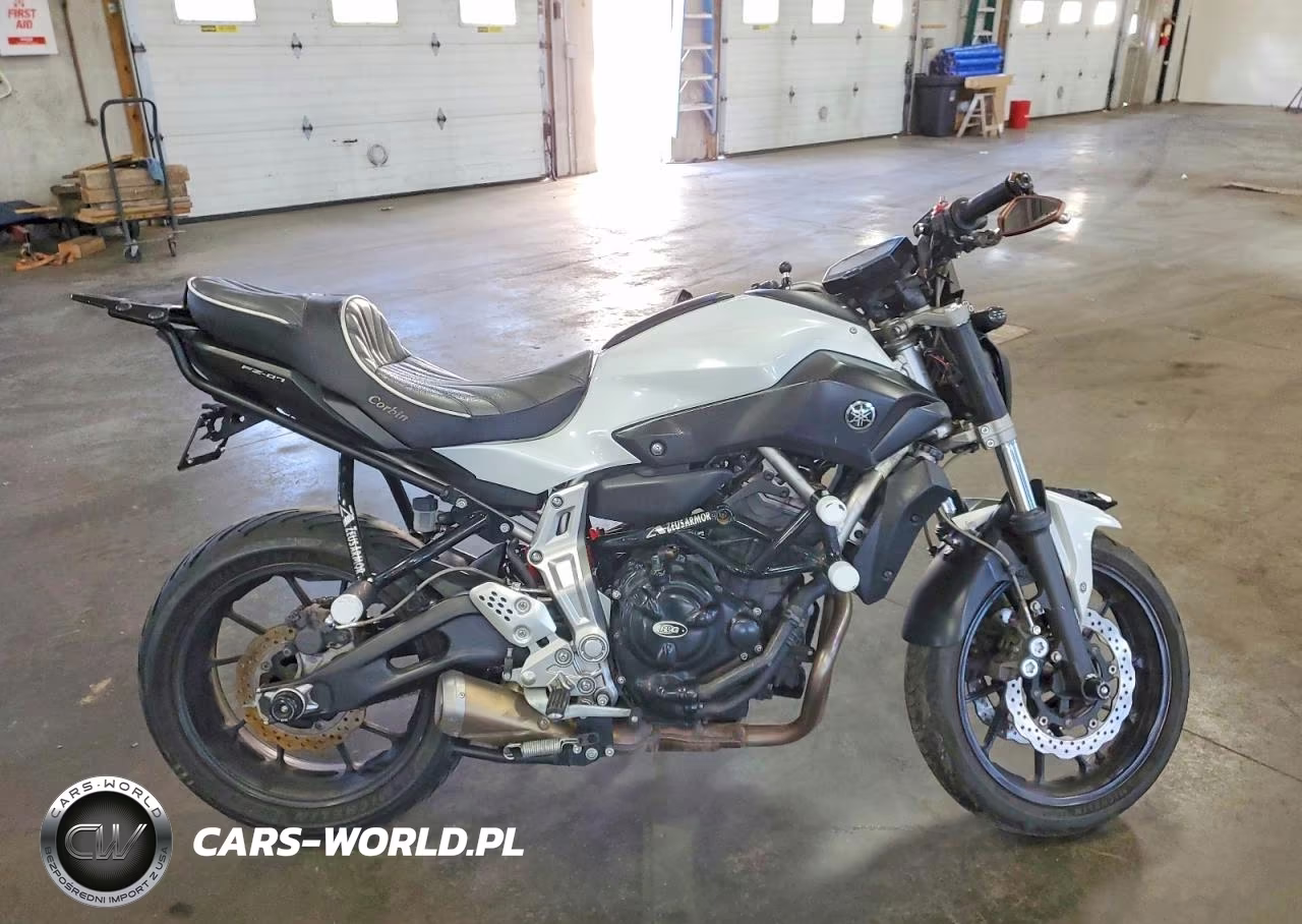 2015 Yamaha Fz07