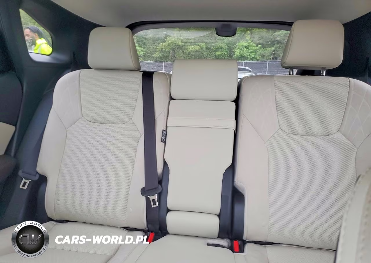 2024 Lexus Rx 450H+ Luxury VIN:JTJCJMGA7R2020552 - 10