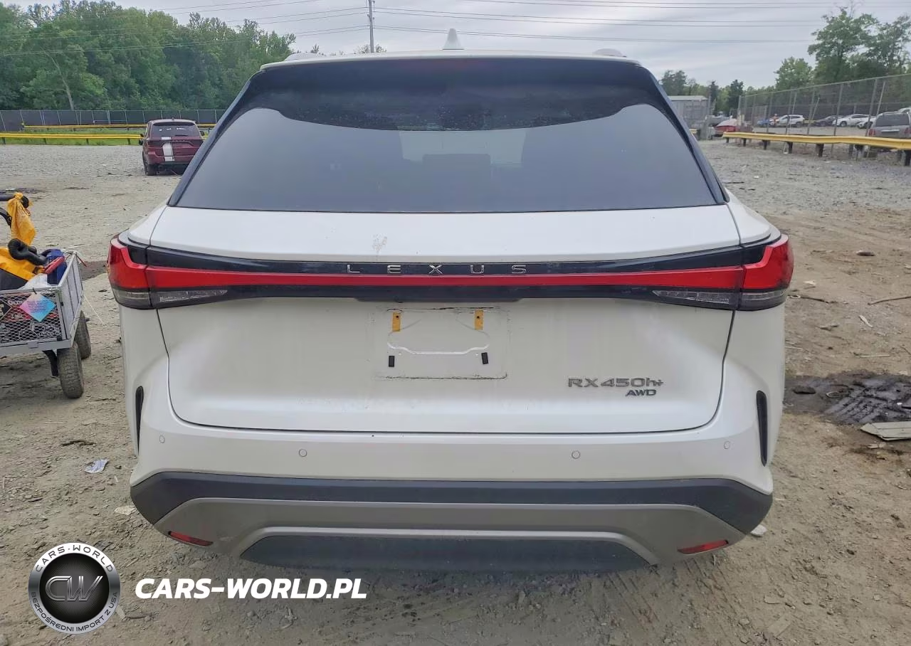 2024 Lexus Rx 450H+ Luxury VIN:JTJCJMGA7R2020552 - 6