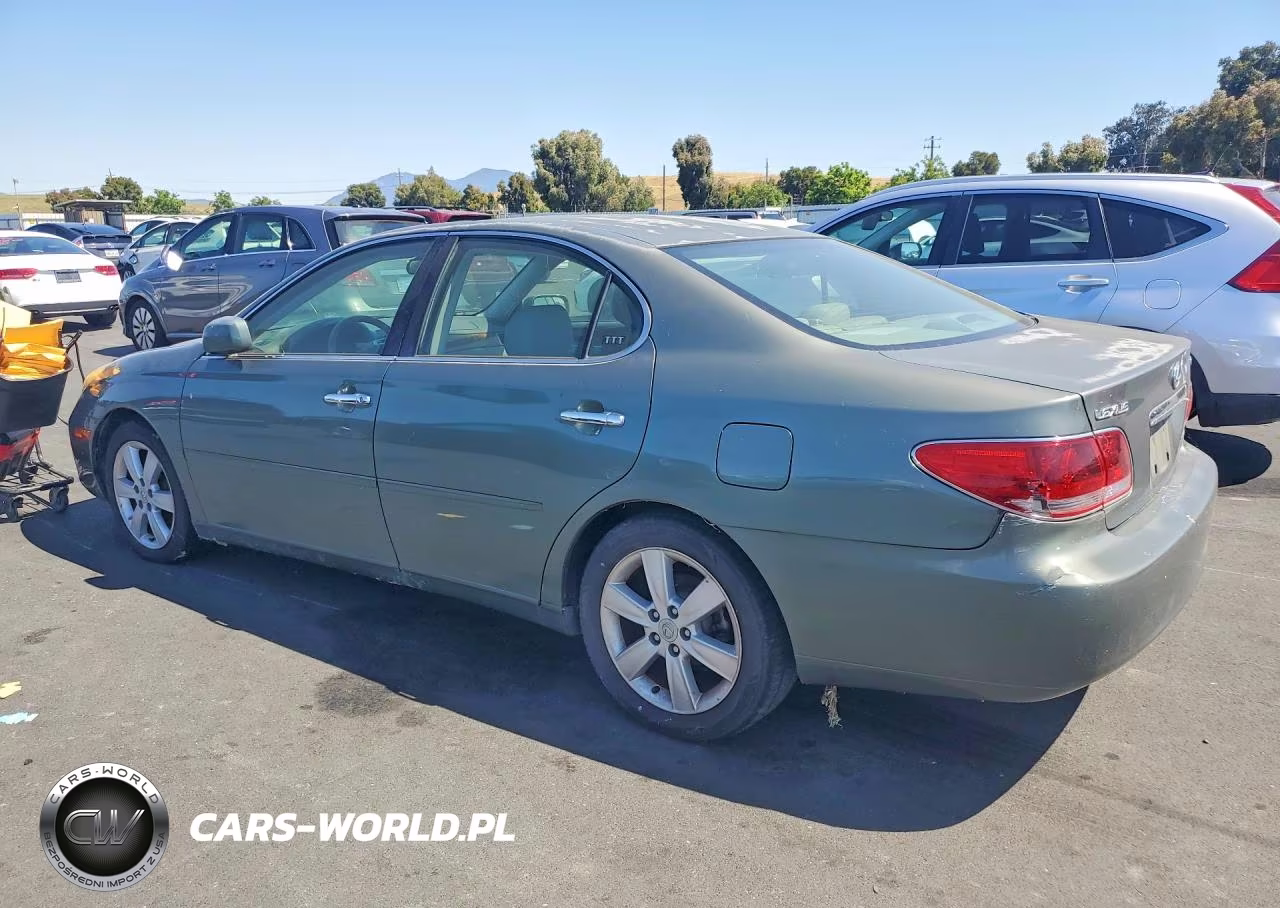 2005 Lexus Es 330 VIN:JTHBA30G455069187 - 2