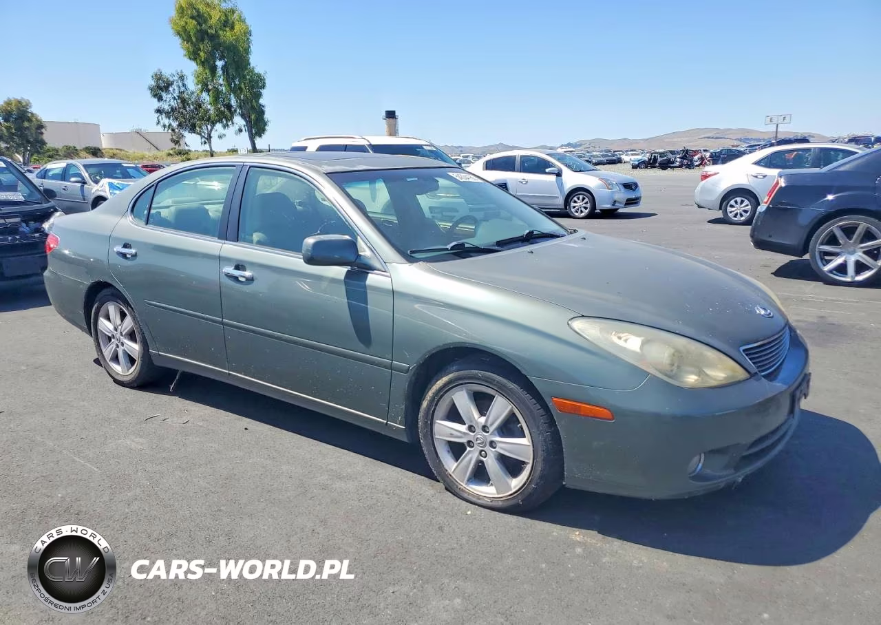 2005 Lexus Es 330 VIN:JTHBA30G455069187 - 4